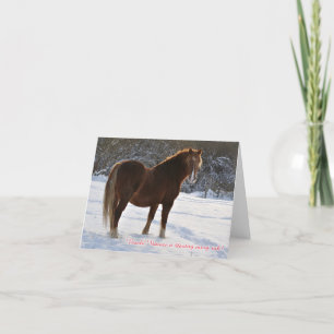 Czech, Horse in the snow christmas card