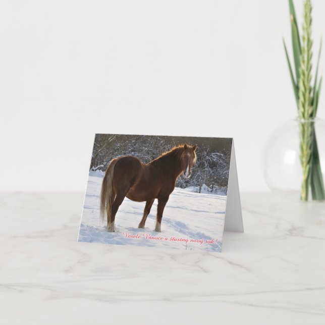 Czech, Horse in the snow christmas card (Front)
