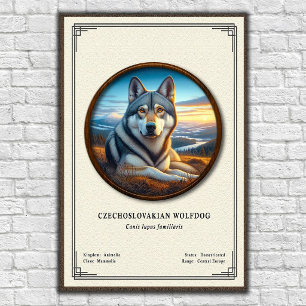 Czechoslovakian Wolfdog Zoology Series Poster