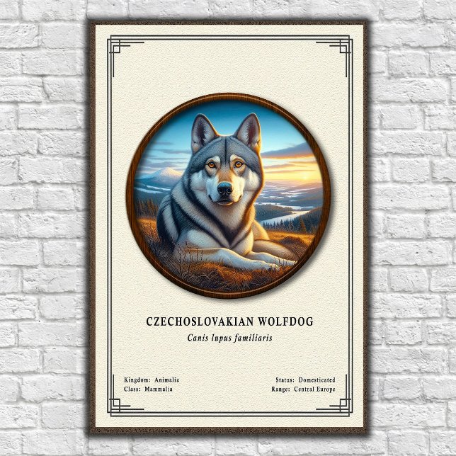 Czechoslovakian Wolfdog Zoology Series Poster (Creator Uploaded)