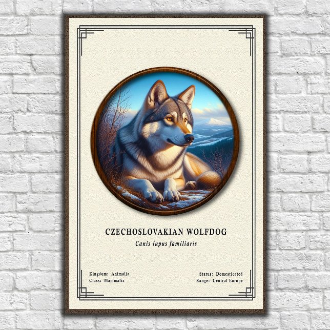 Czechoslovakian Wolfdog Zoology Series Poster (Creator Uploaded)