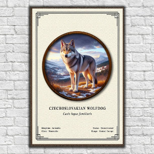 Czechoslovakian Wolfdog Zoology Series Poster