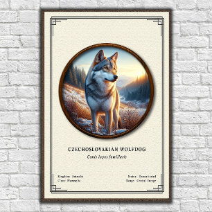 Czechoslovakian Wolfdog Zoology Series Poster