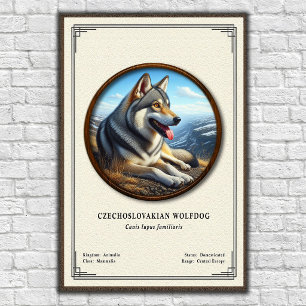 Czechoslovakian Wolfdog Zoology Series Poster