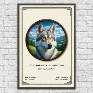Czechoslovakian Wolfdog Zoology Series Poster