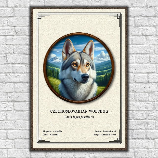 Czechoslovakian Wolfdog Zoology Series Poster (Creator Uploaded)
