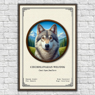 Czechoslovakian Wolfdog Zoology Series Poster