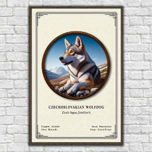 Czechoslovakian Wolfdog Zoology Series Poster