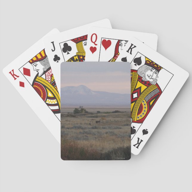 D10 White-tailed Deer and Sweet Grass Hills Poker Cards (Back)