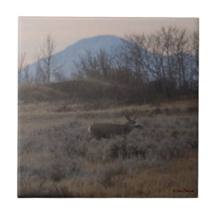 D12 Mule Deer Buck and Sweet Grass Hills Ceramic Tile