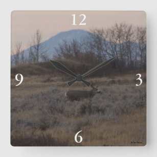 D12 Mule Deer Buck and Sweet Grass Hills Square Wall Clock