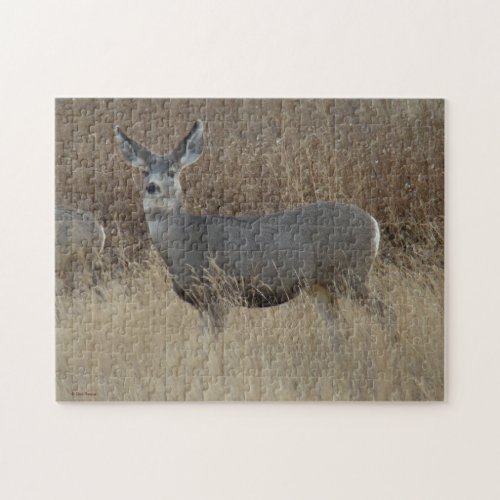 D14 Mule Deer Doe Jigsaw Puzzle