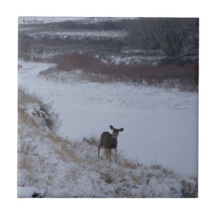 D16 Mule Deer Doe in River Valley Ceramic Tile