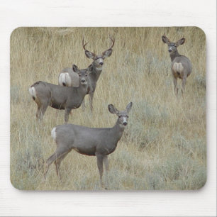 D18 Mule Deer Mouse Pad
