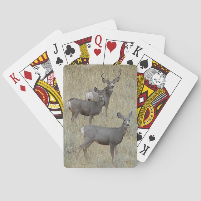 D18 Mule Deer Poker Cards (Back)