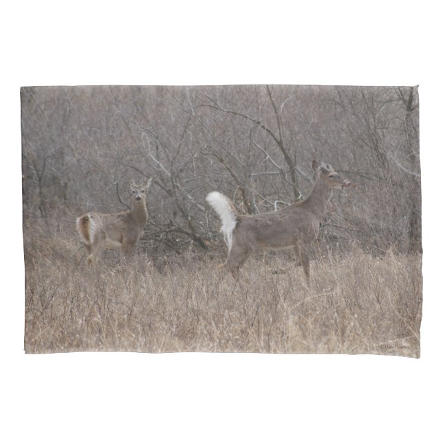D1 White-tailed Deer Spring Bucks in Brush Pillow Case (Front)