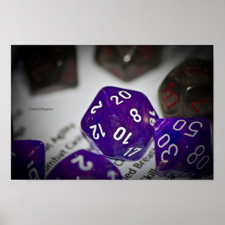 D20 POSTER
