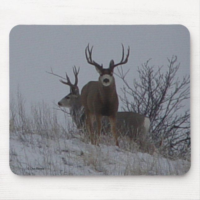 D21b Mule Deer Bucks Mouse Pad (Front)