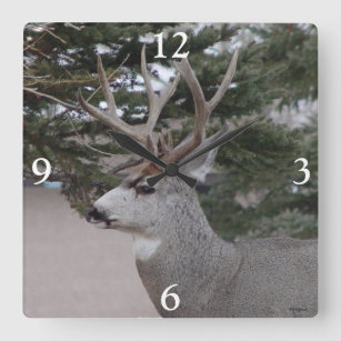D25 Mule Deer Buck Head and Shoulders Square Wall Clock