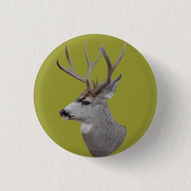 D27 Mule Deer Buck Head Button (Front)