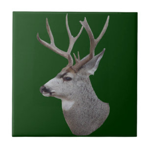D27 Mule Deer Buck Head Ceramic Tile