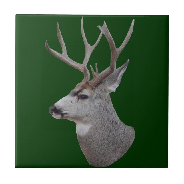 D27 Mule Deer Buck Head Ceramic Tile (Front)