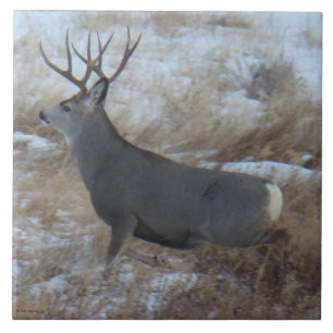 D28 Mule Deer Buck Running Ceramic Tile
