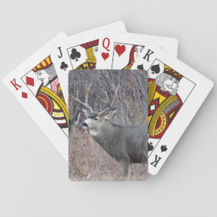 D29 Mule Deer Buck Playing Cards