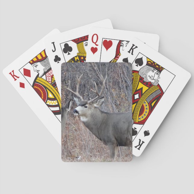 D29 Mule Deer Buck Poker Cards (Back)