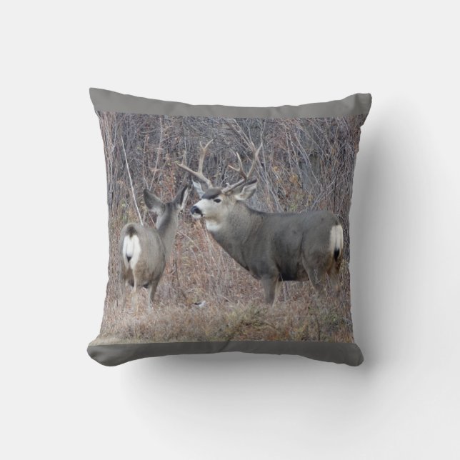 D29 Mule Deer Throw Pillow (Front)