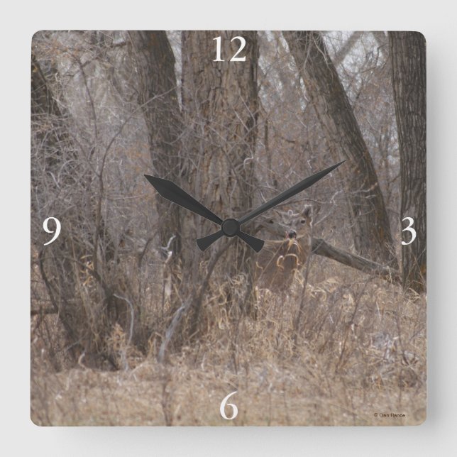 D2 White-tailed Deer in Cottonwood Trees Square Wall Clock (Front)