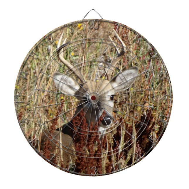 D31 White-tailed Deer in the Weeds Dart Board (Front)