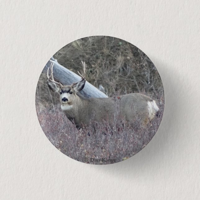 D32 Mule Deer Buck Button (Front)