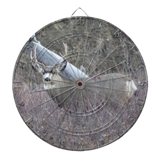 D32 Mule Deer Buck Dart Board (Front)