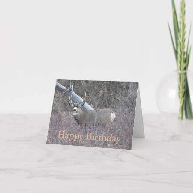D32 Mule Deer Buck Holiday Card (Front)