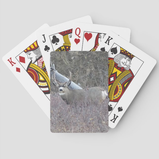D32 Mule Deer Buck Poker Cards (Back)