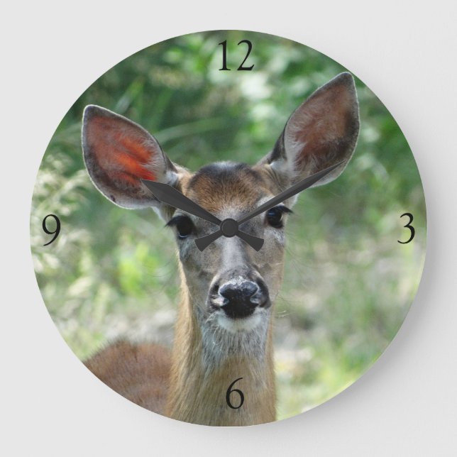 D33 White-tailed Deer Doe Large Clock (Front)