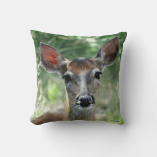 D33 White-tailed Deer Doe Throw Pillow