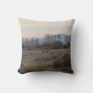 D4 Mule Deer Buck and Sweet Grass Hills Throw Pillow