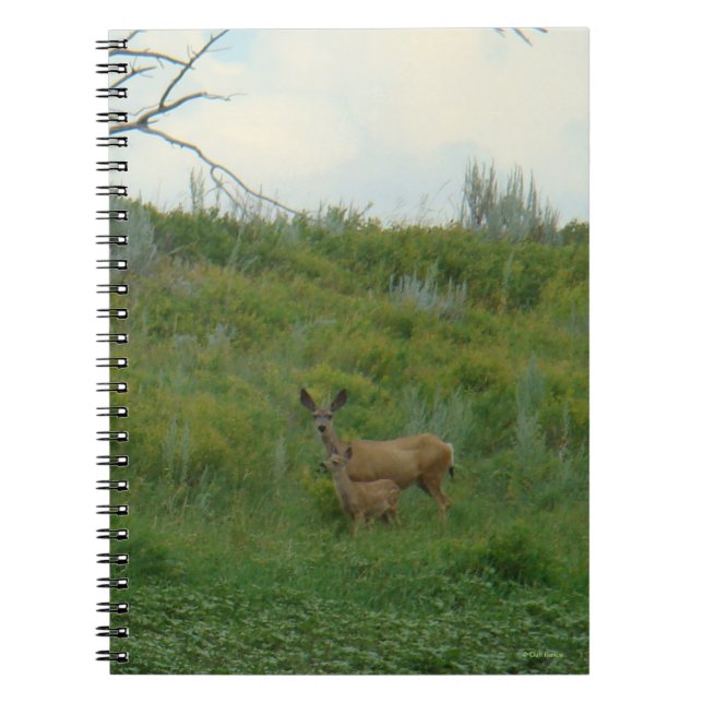 D5 Mule Deer Doe and Fawn Notebook (Front)
