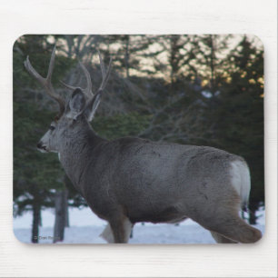 D8 Mule Deer Buck Mouse Pad