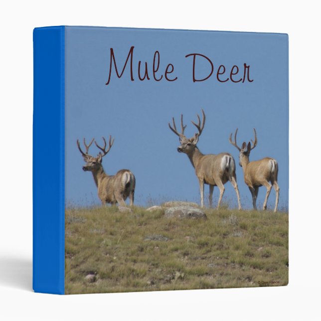 D9 Mule Deer Bucks in Velvet Binder (Front/Spine)