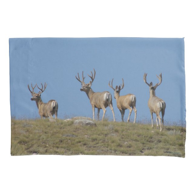 D9 Mule Deer Bucks in Velvet Sky Lined Pillow Case (Front)