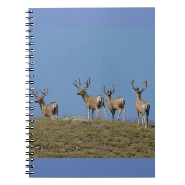 D9 Mule Deer Bucks in Velvet Skylined Notebook (Front)