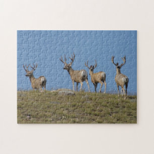 D9 Mule Deer Bucks Sky Lined Jigsaw Puzzle