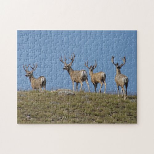 D9 Mule Deer Bucks Sky Lined Jigsaw Puzzle