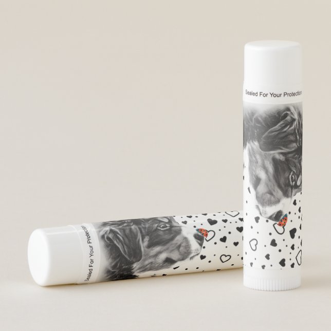 D`Bern Designe Berner lip gloss Balm (Front)
