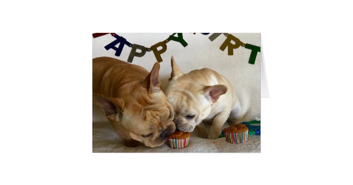 D &amp; D Birthday Card | Zazzle.com