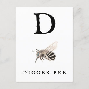 "D" Digger Bee Postcard