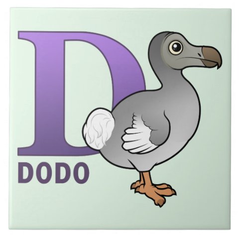 big dodo meaning